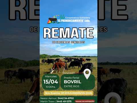 Remate de hacienda Bovril 15-04-2026 | Coop. Ganadera El Pronunciamiento