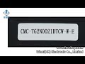CMC-TG2N0021DTCW-W-E industrielle LCD-Anzeige