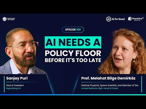 AI for Good — AI Needs a Policy Floor, Prof. Demirkoz