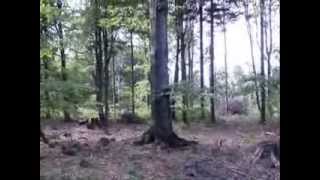 Video Ema Mele Maso - S.T.R.O.M.    2014