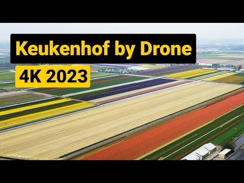 Keukenhof Gardens and Flowerfields by Drone [] 4K 2023