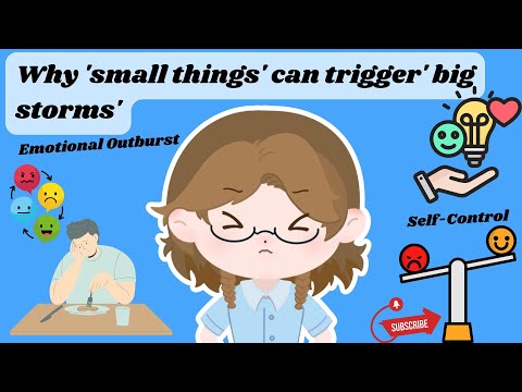 Behind the Emotional Outburst: Why "Small Things" can Trigger "Big Storms" | MindToon