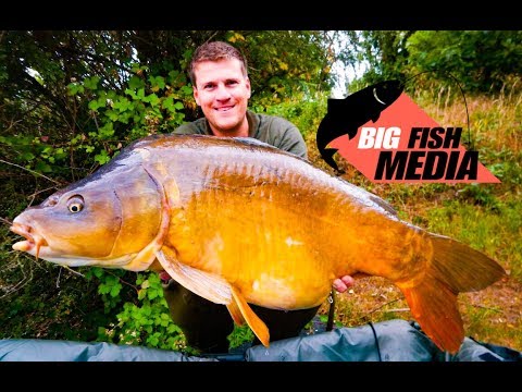 Karpfenangeln - Mais und Tigernüsse - Altmodische Köder mit modernen Montagen