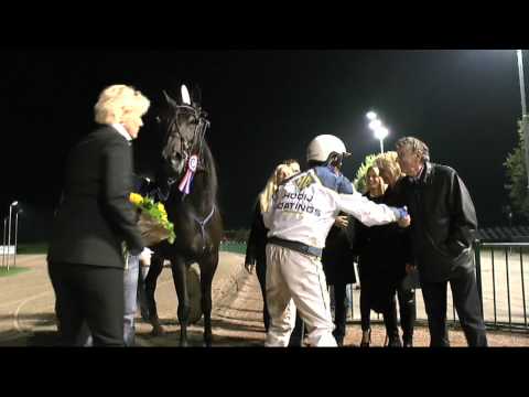 Vierjarige Merries Herfst Stakes - Broadwaytranss R (Cees Kamminga)