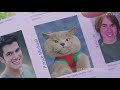 VIDEO KUCING PALING LUCU KAWAII KOMPILASI AARONSANIMALS