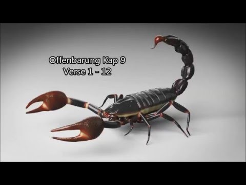 1.Angriff der Wächterengel in der Endzeit gegen die Menschheit Teil 2