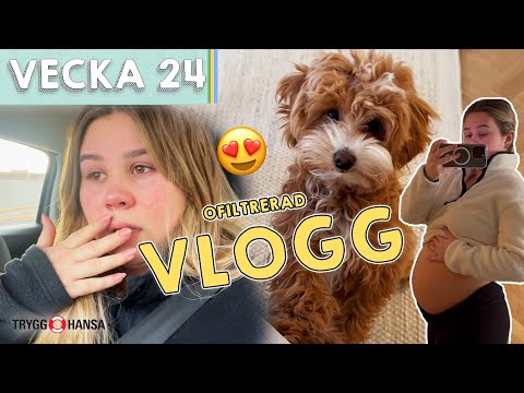 MENTAL BREAKDOWN & BOOTCAMP - Lisa Ajax vecka 24