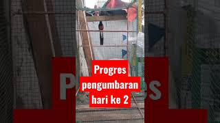 Download lagu murai batu cobra 🔥 #muraibatugacor #shorts #muraibatu #barongsai mp3