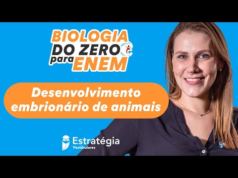 Desenvolvimento embrionário de animais DO ZERO - Biologia do Zero para o ENEM