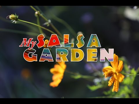 Elise Witt - My Salsa Garden - OFFICIAL MUSIC VIDEO