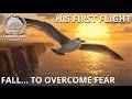 His First Flight Class 10 Chapter Summary Explanation English First Flight Chapter 3 1