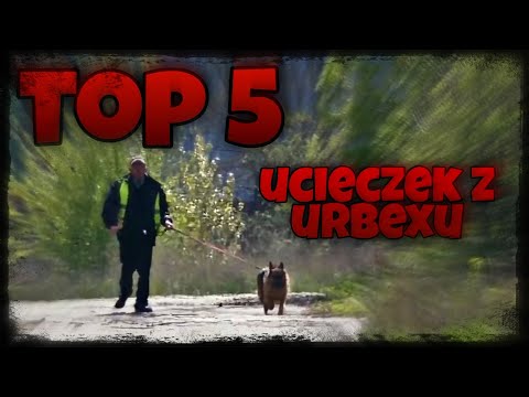Ochroniarz z psem | TOP 5 ucieczek z urbexu