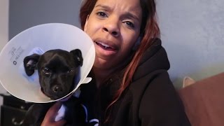 DAX GETS SURGERY! | Daily Dose S2Ep224