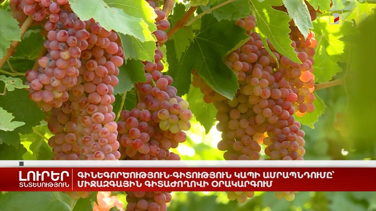 Գինեգործություն-գիտություն կապի ամրապնդումը՝ միջազգային գիտաժողովի օրակարգում