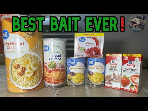 !Best Homemade Carp and Catfish Bait!