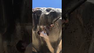 Video thumbnail of Stand Up, V8. Joe's Valley