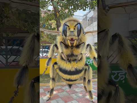 Doli मधुमखी 🐝 है 😨 #mastikipaathsala #srindori09 #nimuda #doli #dolly