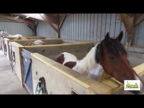 Vidéo de notre centre équestre