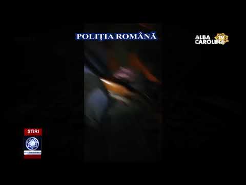 Lupii, puși “pază” la oi