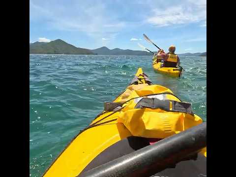 Beautiful Picton #kayak #naturelovers #southislandnz #newzealand