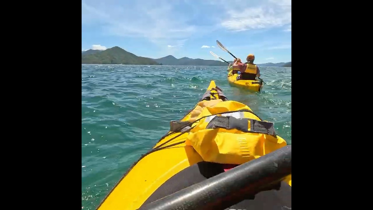 Beautiful Picton #kayak #naturelovers #southislandnz #newzealand