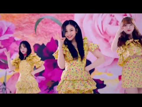 [GFRIEND]Flower Piririri Surururu 100秒療癒無限地洗你腦😆一點進來就開始🤪