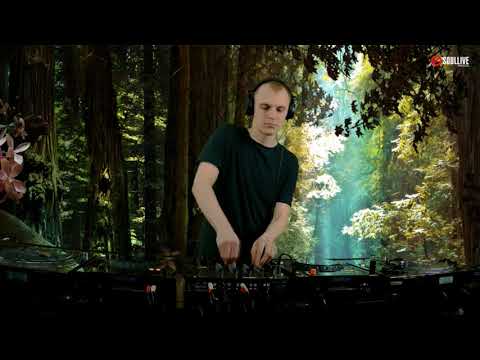 Soullive Studio - Dennis Frost (Downtempo, Chillrave) (23.01.2018)