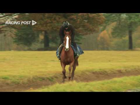 Tingle Creek: Ar Mad & Sire De Grugy