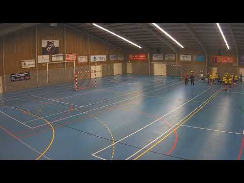 Livestream ZAP Handbal