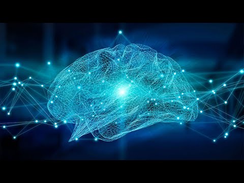 Die Wahrheit über dein Gehirn - Prof. Manfred Spitzer