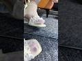 Very Beautiful Pantyhose Feet And Heels Feet Nylon Beauty Heels Foot Tights Pantyhose