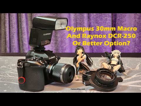 Olympus 30mm Macro Lens And Raynox DCR-250 Adapter Review