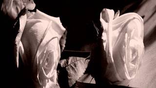 Ataraxia ∼ Veules Les Roses (authentic version)