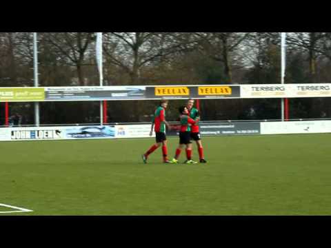 VVIJ B1-Zuidvogels B1 1-2
