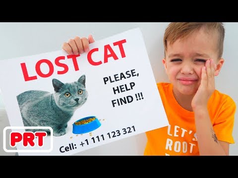 Vlad e Nikita Perdemos nosso gato