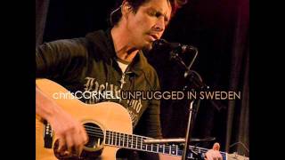 Chris Cornell - Doesn&#39;t Remind Me [Audioslave]
