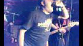 peter and the test tube babies up yer bum