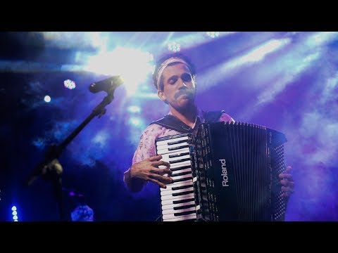 Não Deu - Os Gonzagas