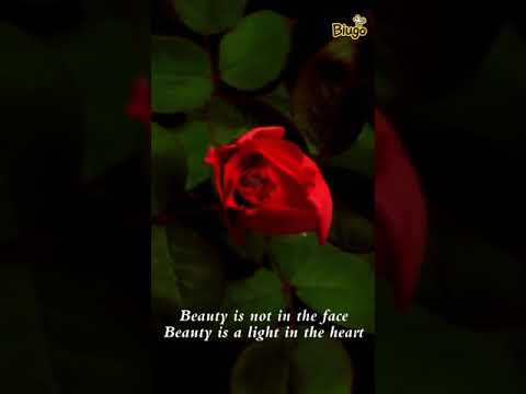 Happy birthday to you lenin