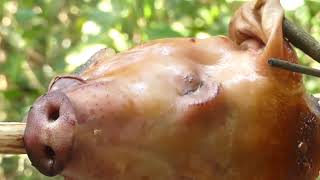 Download lagu Kepala Babi Panggang untuk makanan di tahun Baru China mp3