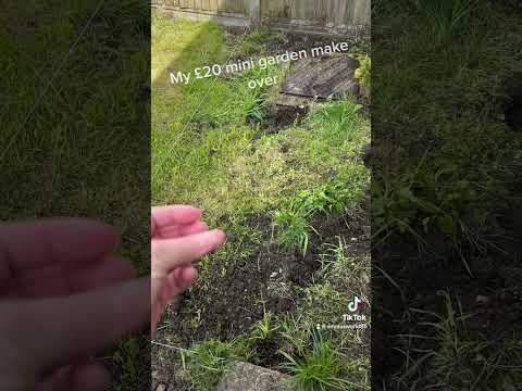 Garden makeover on a budget!