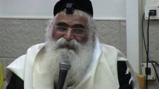הרב יורם אברג'ל-המסר היומי-מפתח השלום- ז' שבט תשע"ז