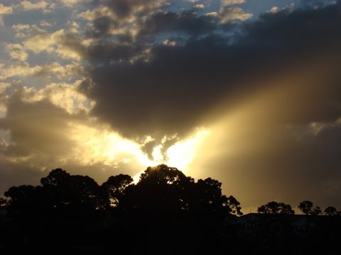 11th Step Morning Meditation (as suggested by the Big Book)