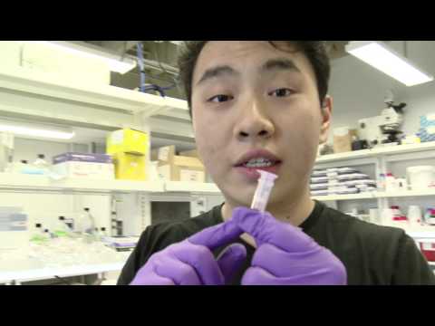 "Scientists Aren’t Gods, They Are Normal People"