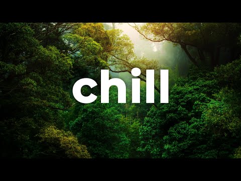 🌬️ Chill Piano Electronic Music (For Videos) - "Home" by Neutrin05 🇺🇸