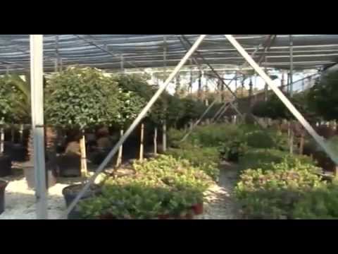 Giorgio Tesi Group. A Pistoia il futuro si tinge di verde