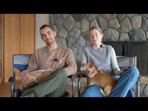 things have changed (Q&A)