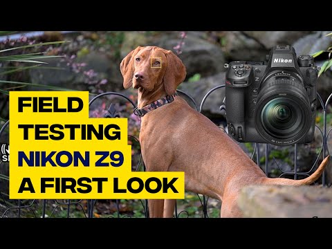 Field Testing the Nikon Z9 - a first look