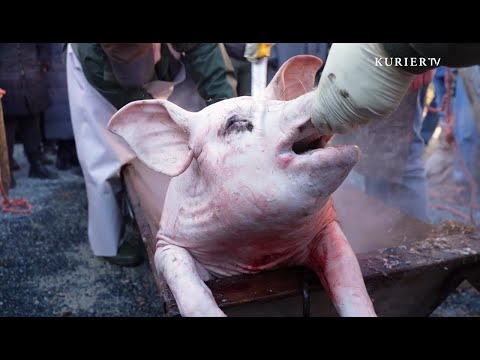 Der Sautanz: Tradition und Brauchtum