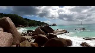 Santa Cecilia - Monedita